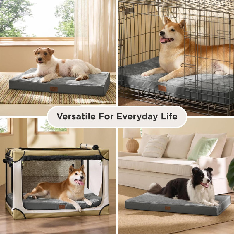 Pet Bed