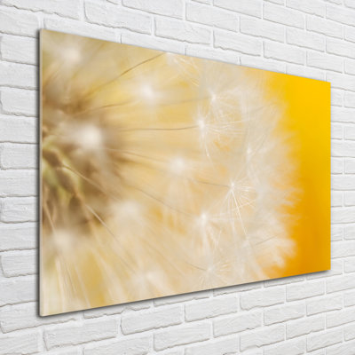 Dandelion - No Frame Print on Glass
