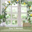 Guirlande de citron artificiel printemps été eucalyptus avec citrons artificiels