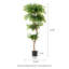 Amee 61" H Creative Shaped Faux Ficus Tree in Pot