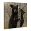 31_Ours noir et oursons tendres, forêt tendue de forêt par Collin Bogle-105325578-105325579
