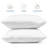 Reversible Throw Pillow Insert-117668998-50938193