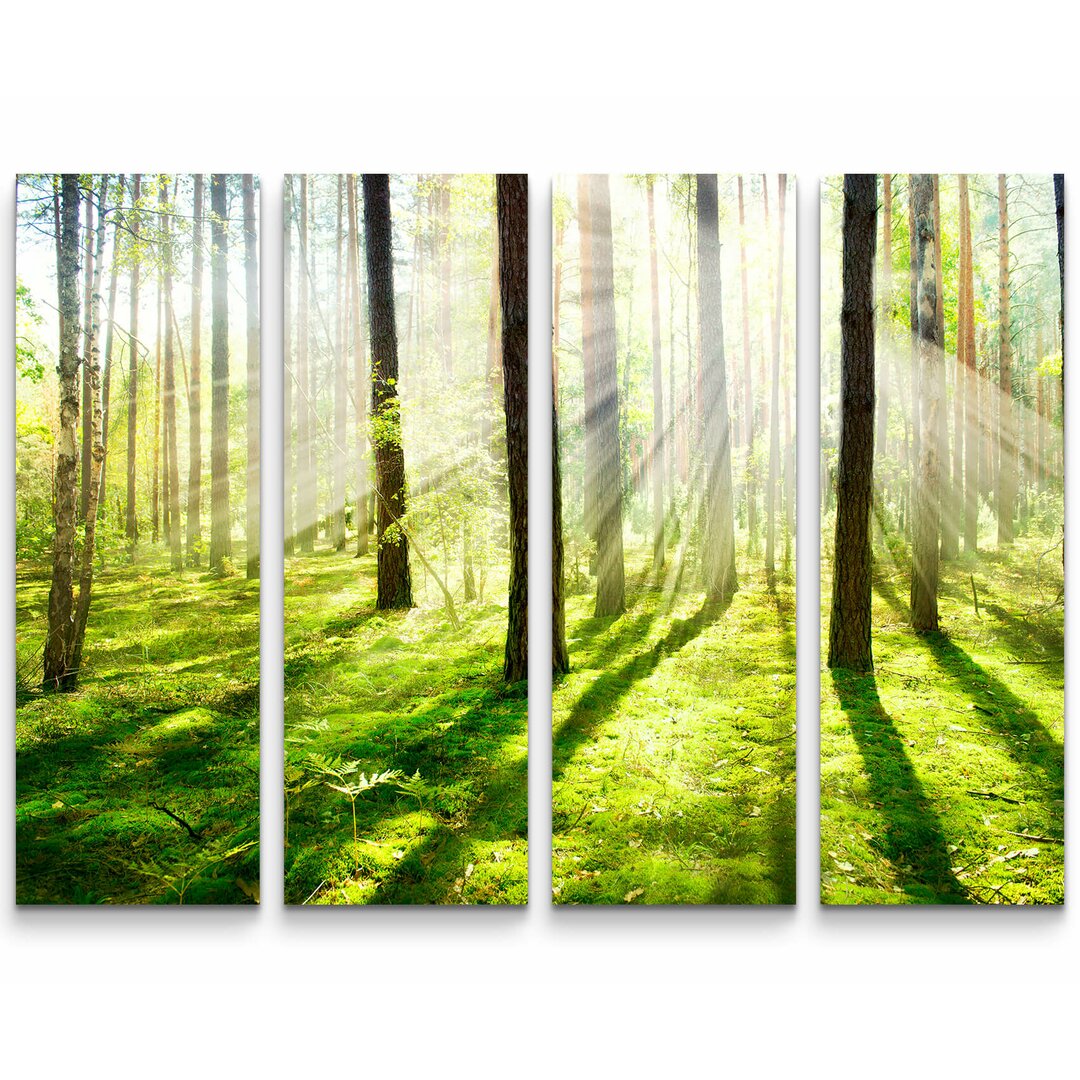 4-tlg. Leinwandbilder-Set Sonnenstrahlen im Wald