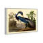 Louisiane héron - Impression sur toile-63582451-63582452-119891344