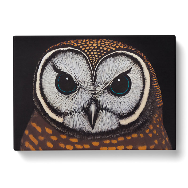 Ingenious Owl - Wrapped Canvas, 50cm H x 76cm W x 3cm D