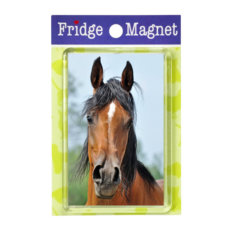 Fridge Magnet