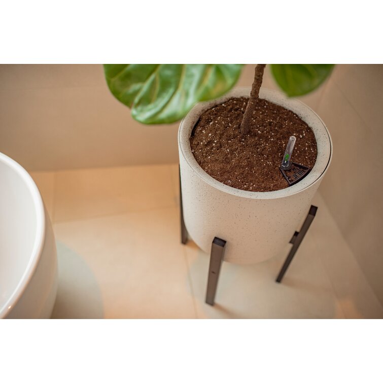 Vita Pot à fleurs avec arrosage intérieur / extérieur Vaxa et Commentaires  - Wayfair Canada