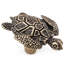 Pollino Novelty Knob-10367914