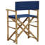 Gallatin Folding Director Chair-1523781650
