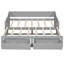 Gray Daybed With Expandable Trundle And Storage, No Box Spring For Simple Living Extendable Storage Drawers, Suitable ' Adults' Use