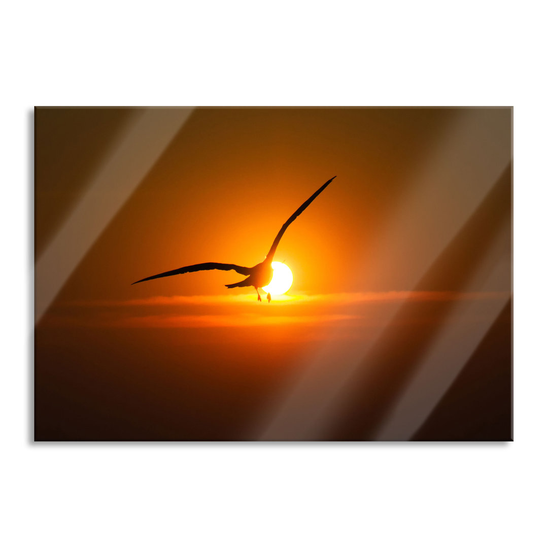 Glasbild _ Wandbild Auf Echtglas _ Möwe Fliegt In Den Sonnenuntergang _ Inkl. Aufhängung Und Abstandshalter_LFy10033