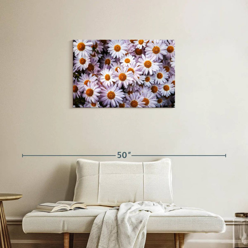 Harnek Shasta Daisies, 20" H x 30" W
