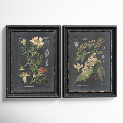 Midnight Botanicals by Vision Studio