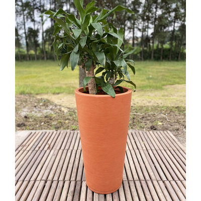 Genebra Pot Planter