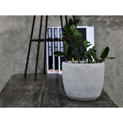 Dinwiddie Concrete Indoor / Outdoor Urn Planter