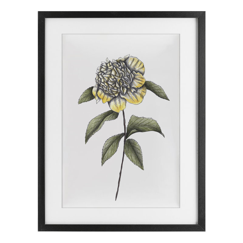 Camellia Flower Illustration, reproduction encadrée sous verre, conception de Cecilia Battaini, H 20 po x l 14 po