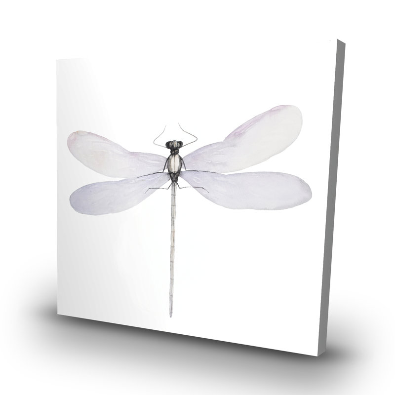 Delicate dragonfly - 32"x32" art on canvas