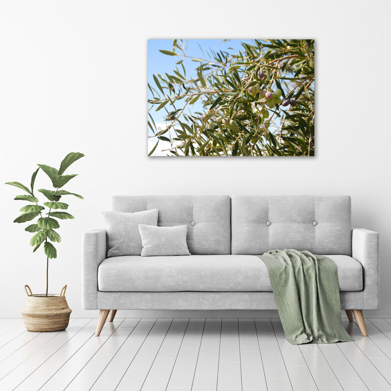 Olive Tree - Wrapped Canvas Print