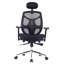 Symple Stuff Mesh Executive Chair with Headrest-45367436