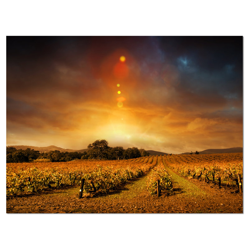 Yellow Autumn Vineyard Sunset Abstract Landscape Canvas Print