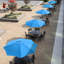 Parasol de marché de 102,8 po avec manivelle Halpert Halpert