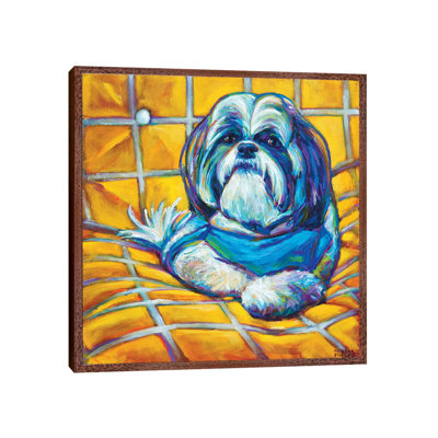 Shih Tzu by Robert Phelps - Print on Canvas