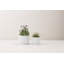 Table Vase-1345649310