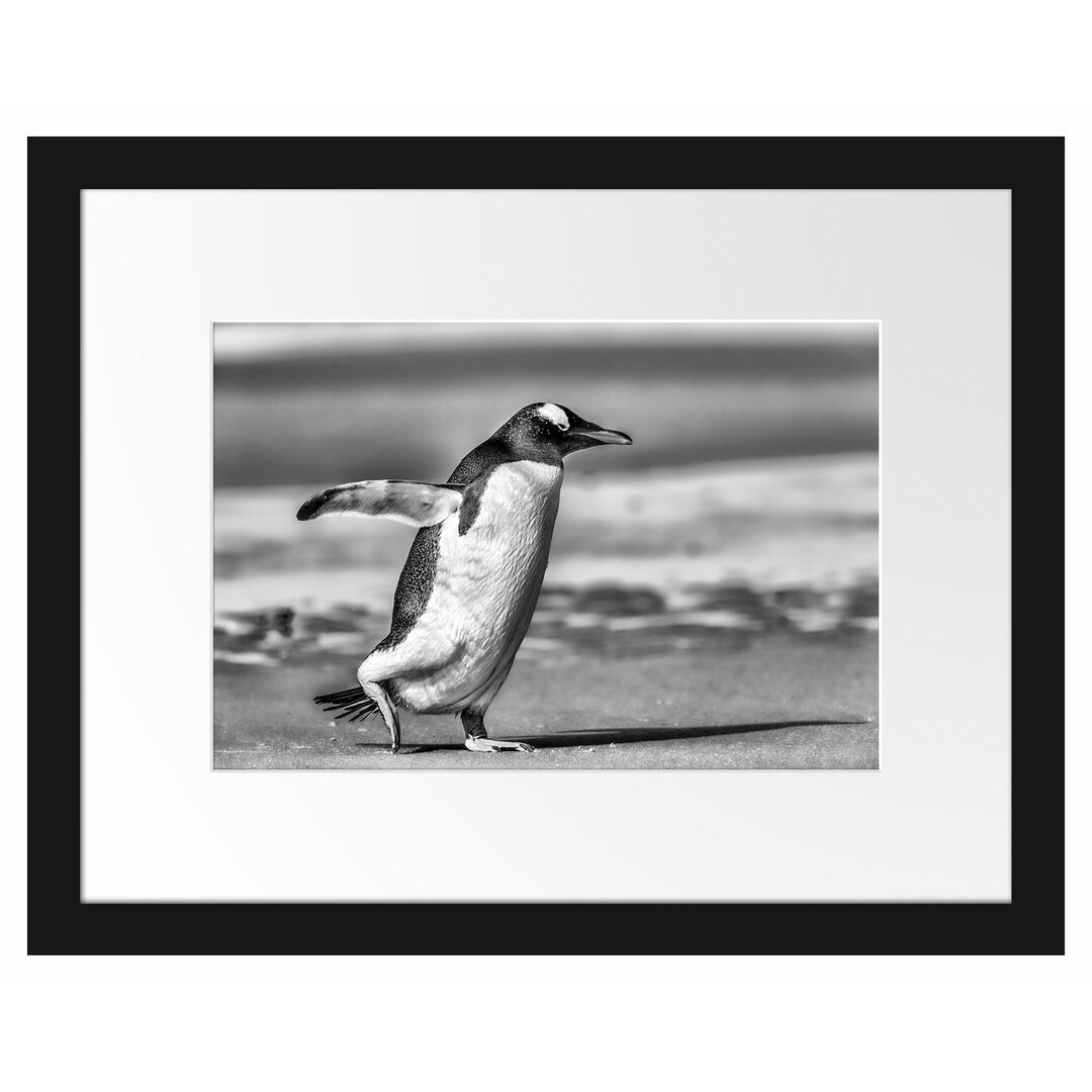 Gerahmtes Poster Pinguin am Strand