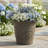 Kehlani 19.5" x 19.5" x 17.5" Round Sable Polyresin Outdoor Planter Pot - Weathered Sable - Set of 2-1439233578-1478512455-1595174684