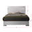 Nadler Standard Bed(Only Bed)-31436311