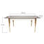 Rimma Extendable Metal Base Dining Table