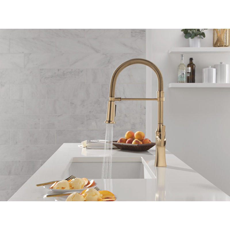 Robinet de cuisine Ermelo Pro, Bronze champagne