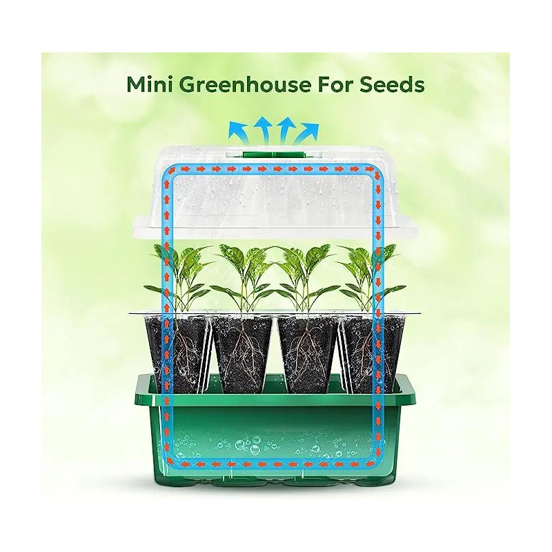 NIERBO Growing Kit