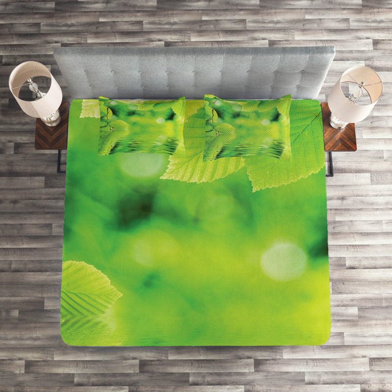 Farmhouse / Country Polyester Coverlet