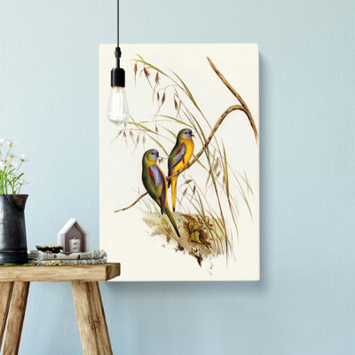 Grass-Parakeets by Elizabeth Gould - Wrapped Canvas