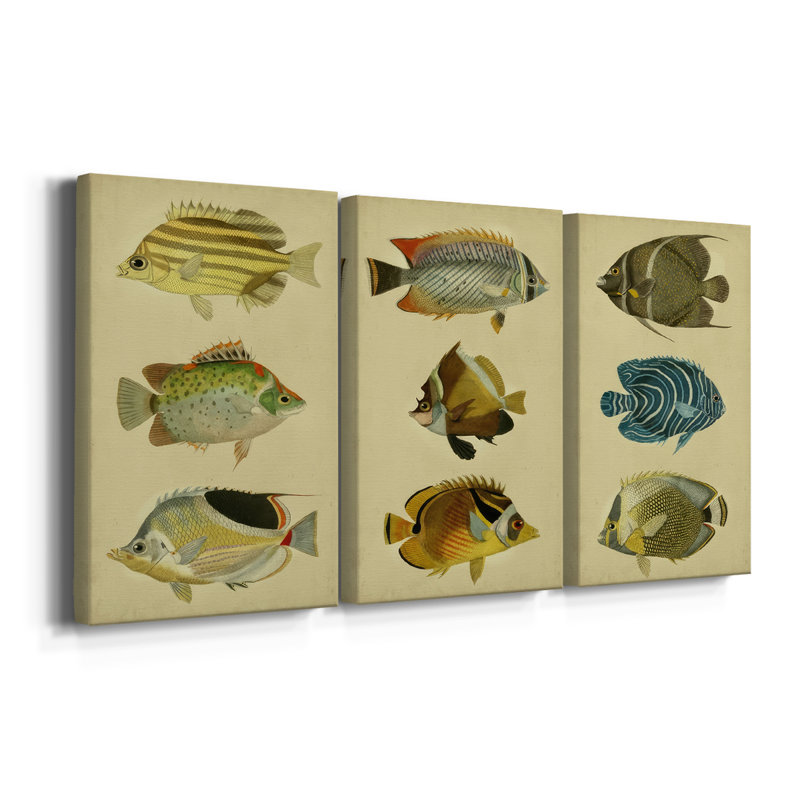 Trio de poissons tropicaux I - Toile tendue sur mesure avec châssis - 3 pièces, H 18 po x l 36 po