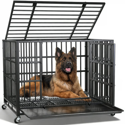 Dero Heavy-Duty Steel Dog Crate