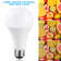 3 Way A21 LED Light Bulbs, 40/60/100W Equivalent, E26 Medium Screw Base