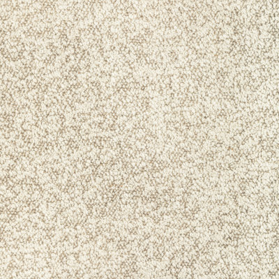 Baker House Boucle Performance Fabric