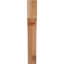 Attelle de genou Westlake-29310046-31230094-31230610