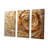 Brown Gilded Mocha Spiral - Abstract Spirals Canvas Wall Art Set-111764949-112015062