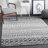 Lashavia Machine Woven Ivory/Dark Charcoal Area Rug-997038859