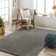 Surles Rectangle Hillside Polyester Area Rug in Taupe