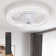 Ceiling Fan with LED Lights