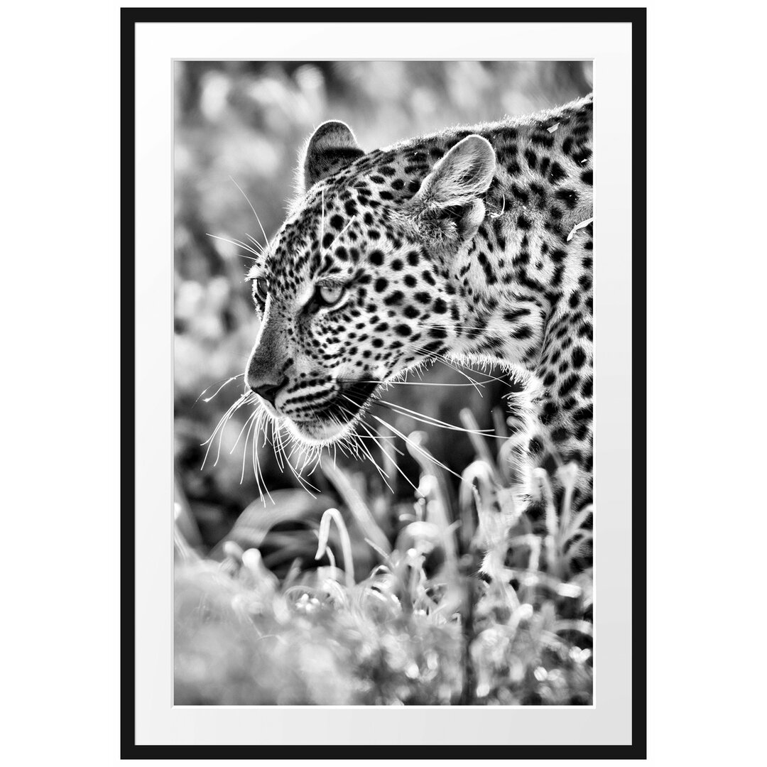 Gerahmtes Poster Jagender Leopard