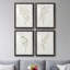 Spindle Sprig I - 4 Piece Single Picture Frame Print-1585524389-1585524388