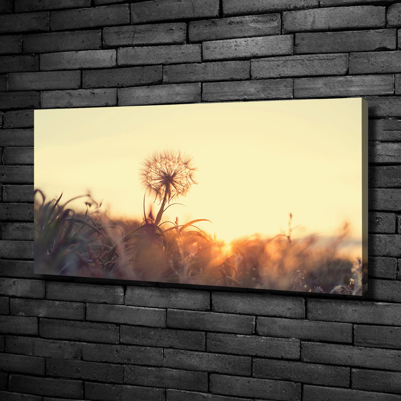 Dandelion - No Frame Print on Glass, Canvas, 50cm H x 100cm W x 2cm D