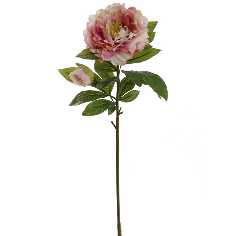 Tige de pivoine, Mauve, 3