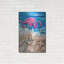 «Flamingo Of Bonaire» par Estelle Grengs-1879138600