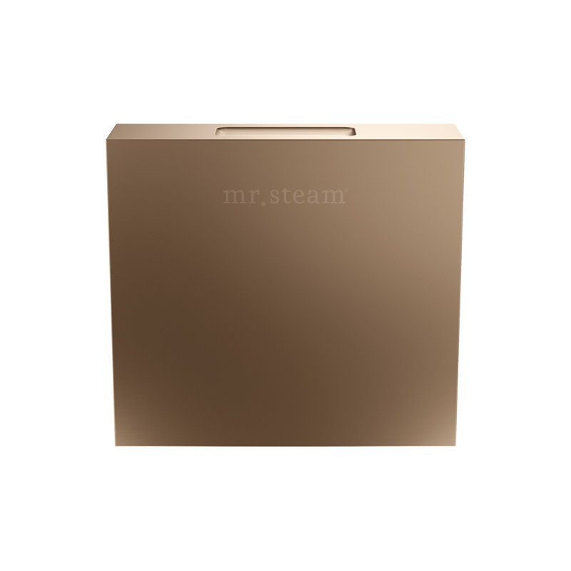 Designer 3 in. Steamhead with AromaTherapy Reservoir in Square , Bronze